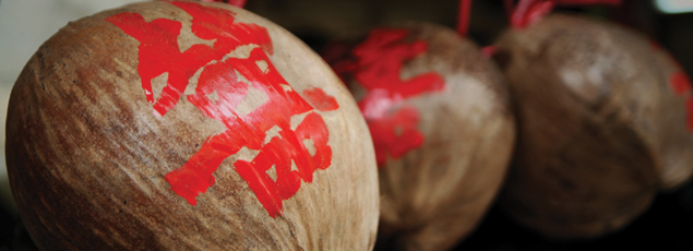 Married in Chinese Wedding Traditions